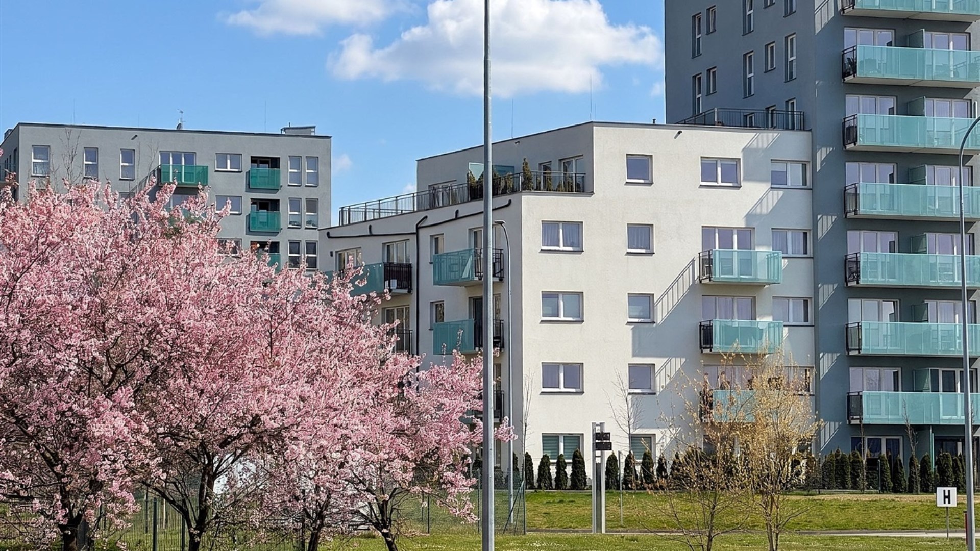 Mieszkanie na sprzedaż